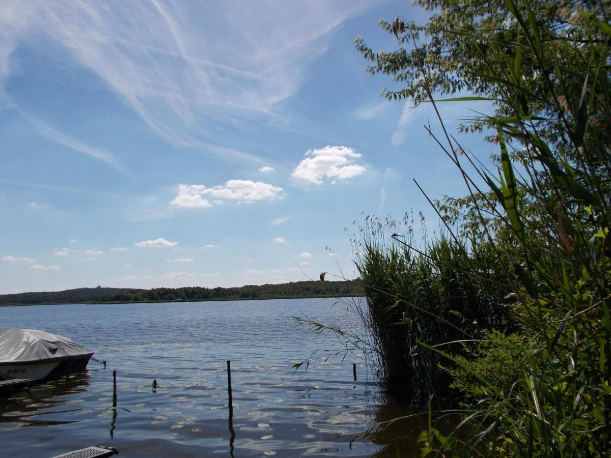 Ferienhaus Am Langen See III Heidesee Exteriör bild